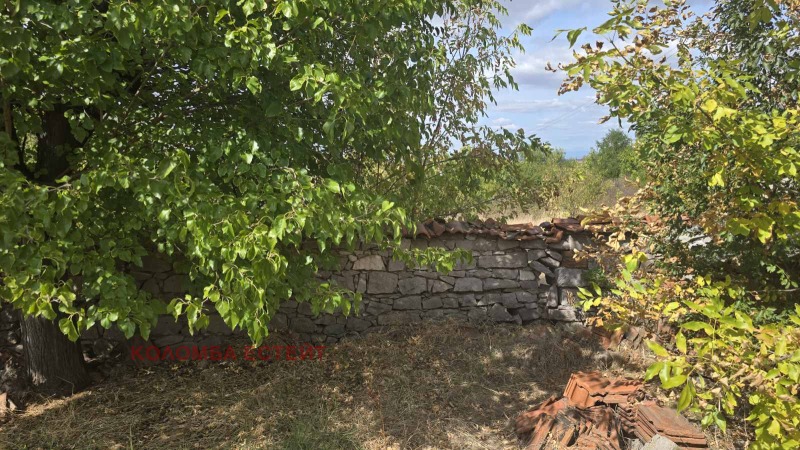 Продава КЪЩА, с. Сталево, област Хасково, снимка 3 - Къщи - 52146419