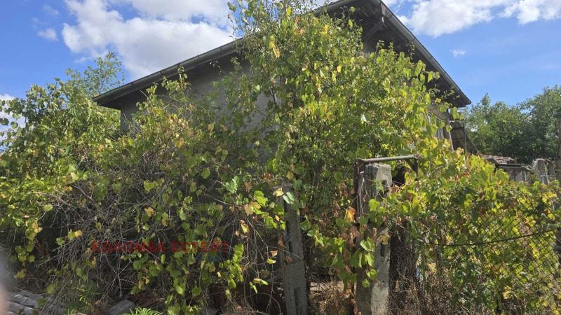 Продава КЪЩА, с. Сталево, област Хасково, снимка 6 - Къщи - 52146419