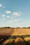 Продава ЗЕМЕДЕЛСКА ЗЕМЯ, с. Мусачево, област София област, снимка 10