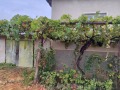 Продава  Къща област Враца , с. Боденец , 120 кв.м | 47096434 - изображение [15]