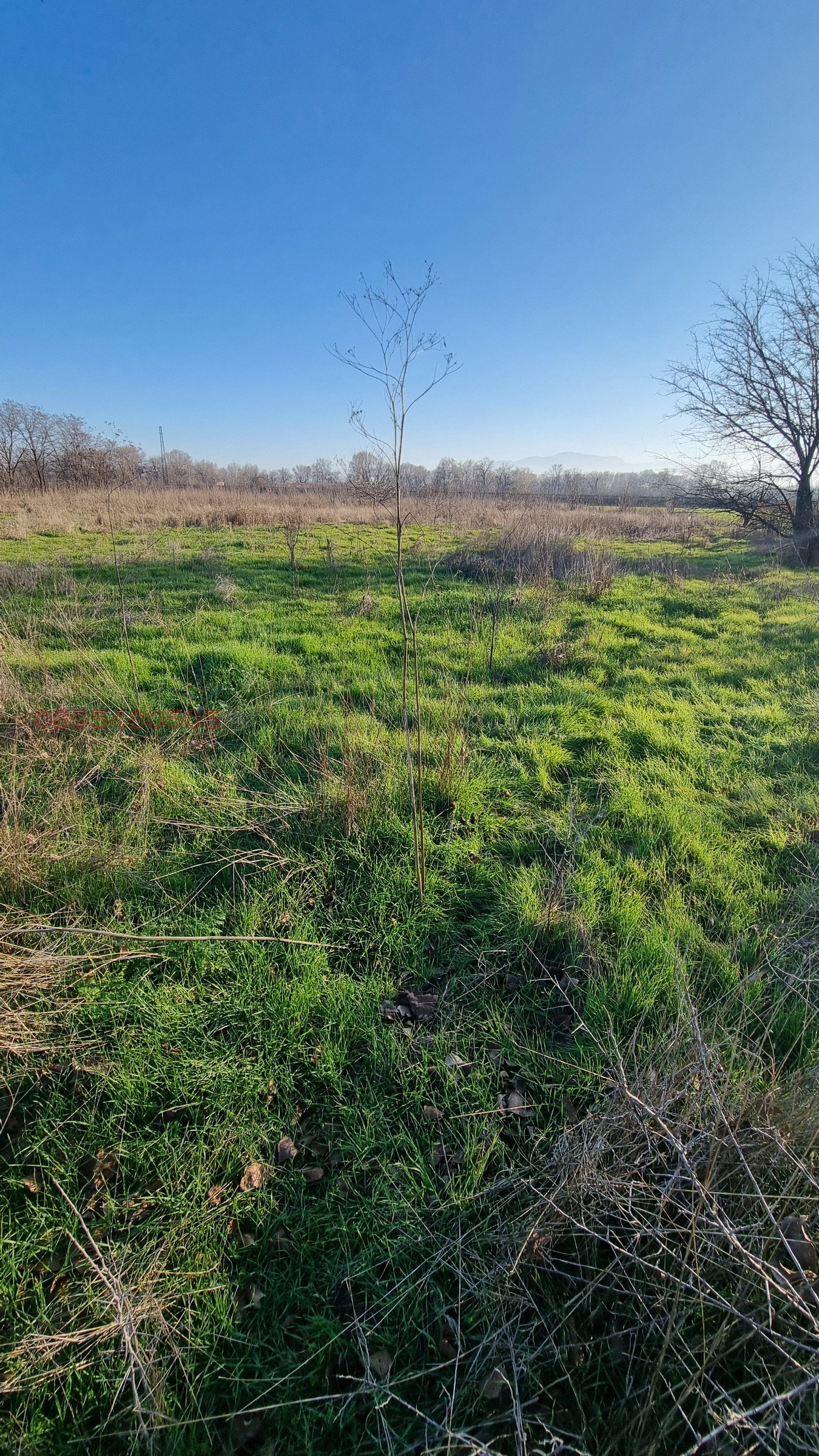 ������� ������ | Imot.bg � ����������� 2