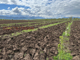 ������� ���������� ���� | Imot.bg � ����� ������ 6