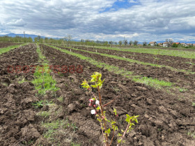 ������� ���������� ���� | Imot.bg � ����� ������ 5