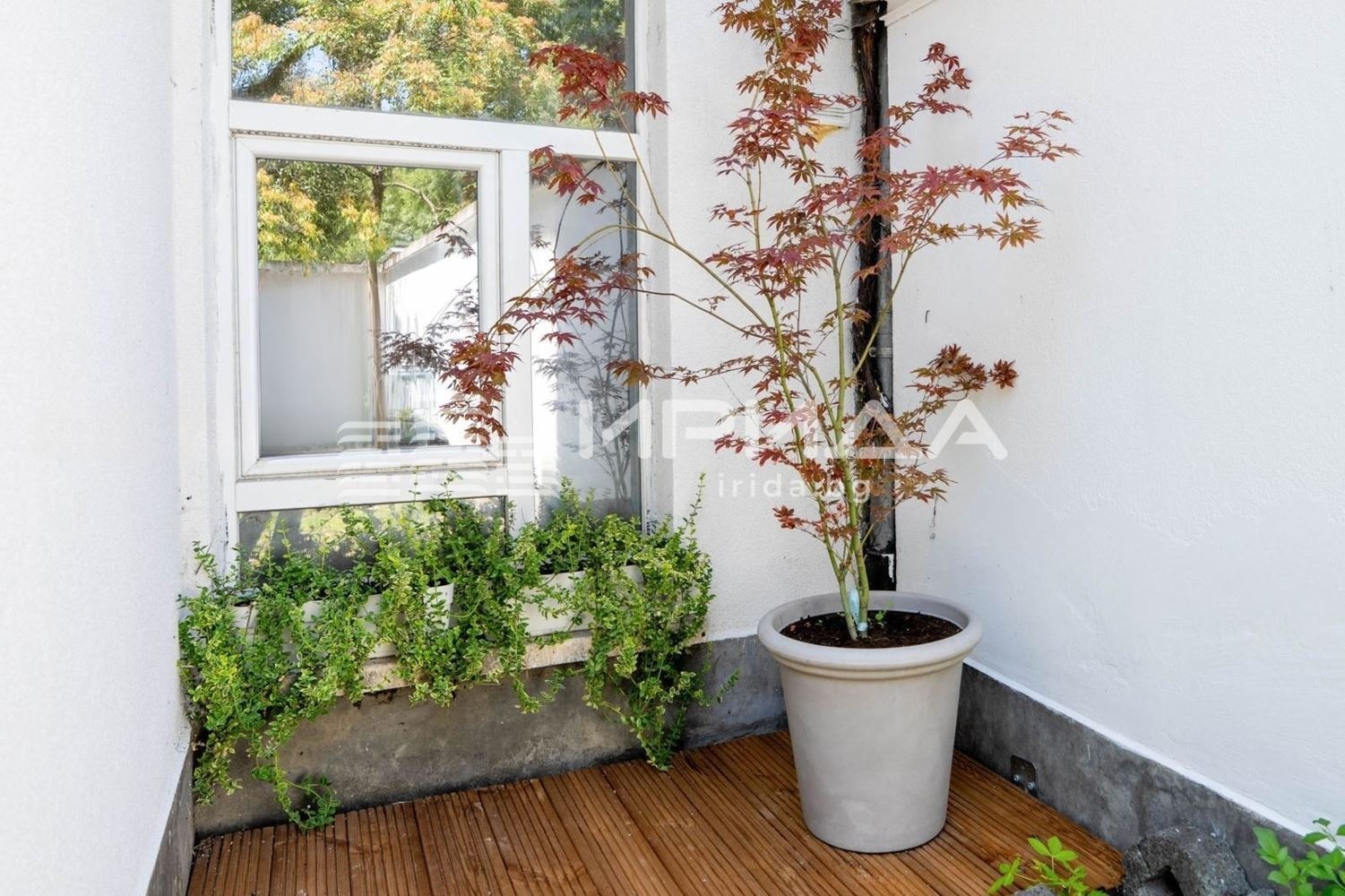 ������� 1-����� | Imot.bg � ����������� 14