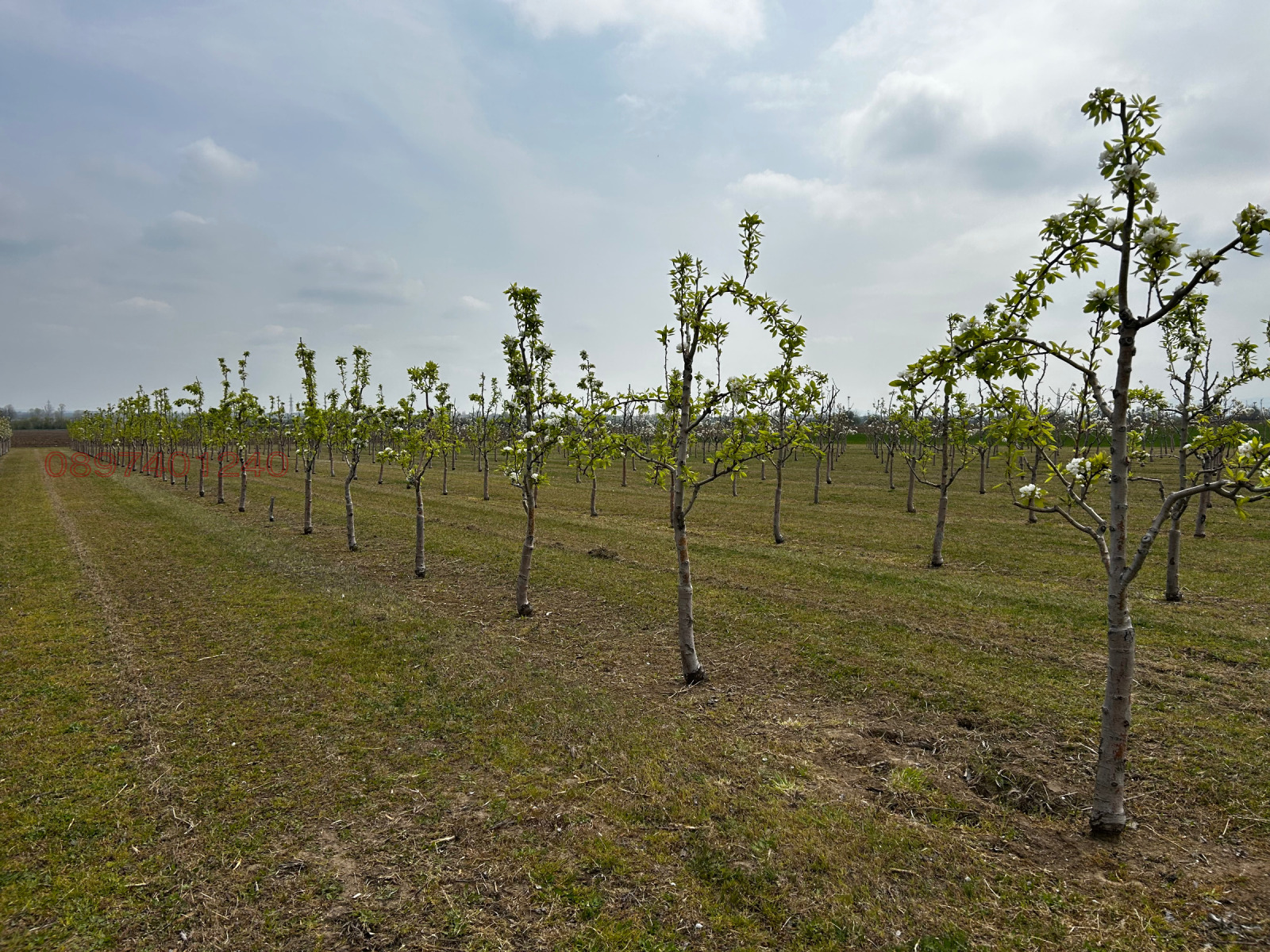 ������� ���������� ���� | Imot.bg � ����������� 17