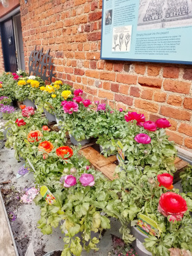 ����� ������� ����,�. ���� ����, ������ ������