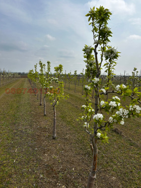 ������� ���������� ���� | Imot.bg � ����� ������ 10