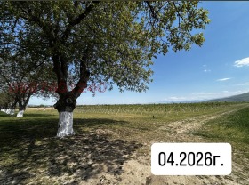 ������� ���������� ���� | Imot.bg � ����� ������ 8
