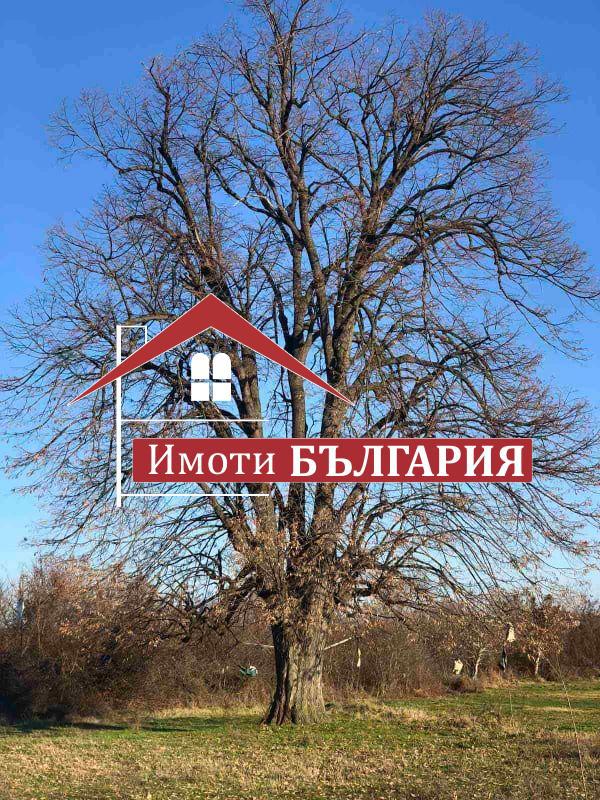 Продава  Къща област Пловдив , с. Бегово , 100 кв.м | 87207999 - изображение [7]