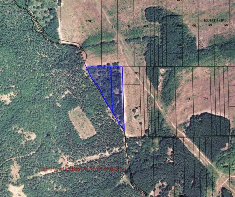 For Sale  Plot region Burgas , Sozopol , 38000 sq.m | 45736683 - image [5]