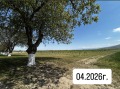 Продава  Земеделска земя област Пазарджик , с. Симеоновец , 25 дка | 63975786 - изображение [8]