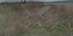 ����� ������� ������,��. �����, ������ ������