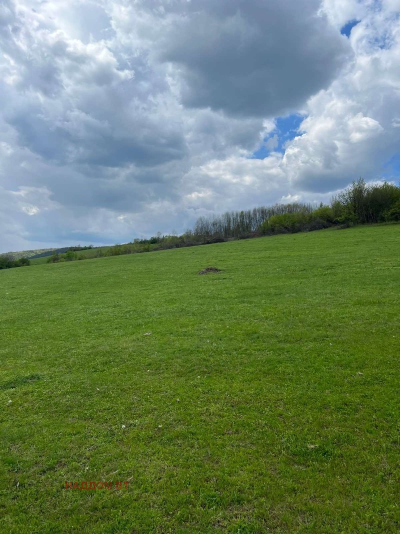 Na prodej  Přistát oblast Veliko Tarnovo , Blaskovci , 15 dka | 15677222 - obraz [4]