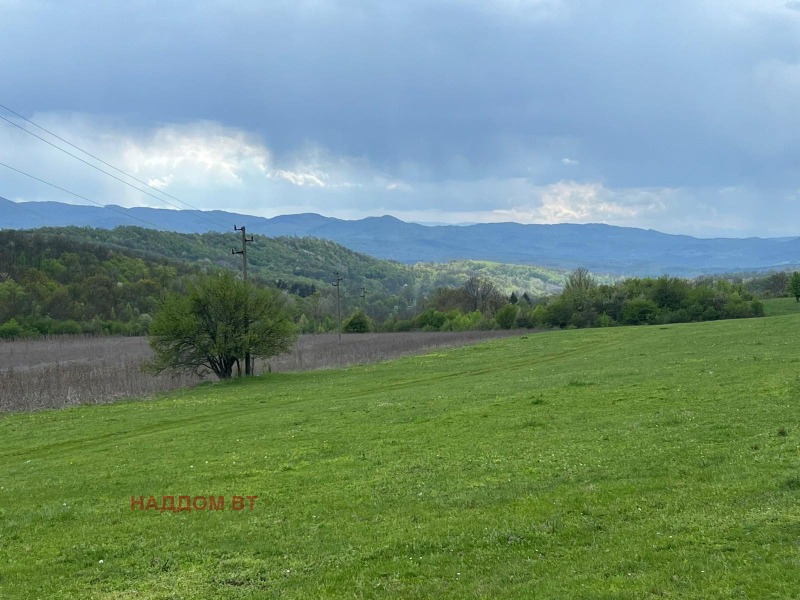 Na prodej  Přistát oblast Veliko Tarnovo , Blaskovci , 15 dka | 15677222