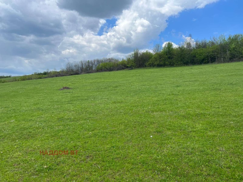 Na prodej  Přistát oblast Veliko Tarnovo , Blaskovci , 15 dka | 15677222 - obraz [2]
