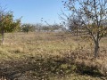 Продава ЗЕМЕДЕЛСКА ЗЕМЯ, с. Избул, област Шумен, снимка 2