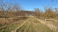 Продава ЗЕМЕДЕЛСКА ЗЕМЯ, с. Избул, област Шумен, снимка 7