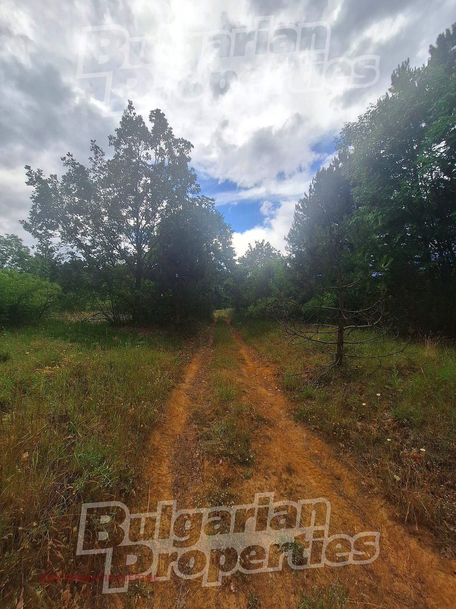 ������� ���� | Imot.bg � ����������� 16