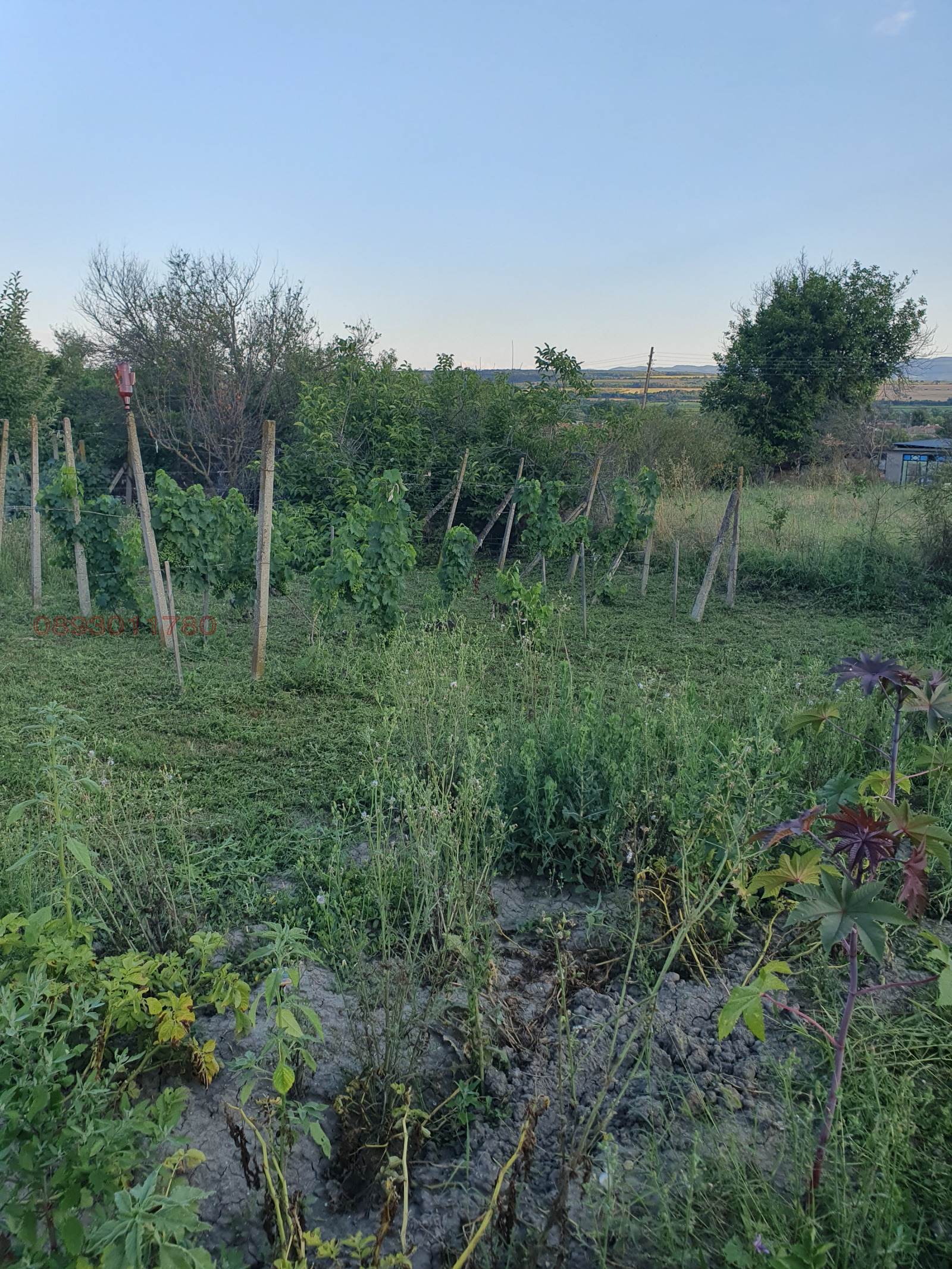 Продава ПАРЦЕЛ, с. Хан Крум, област Шумен, снимка 2 - Парцели - 56736071