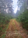 Продава КЪЩА, с. Вратца, област Кюстендил, снимка 17