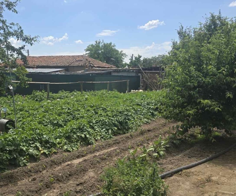 Til salg  Hus region Plovdiv , Trilistnik , 85 kvm | 18724336 - billede [10]