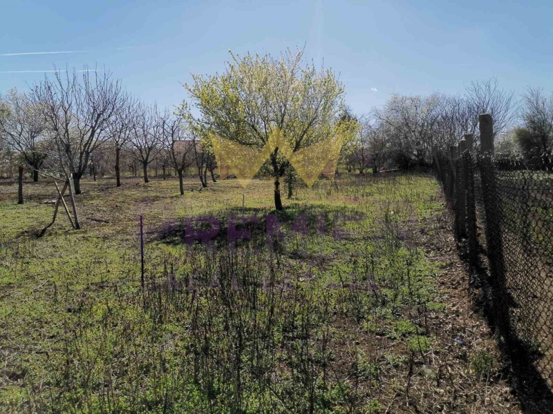 For Sale  Plot region Dobrich , Gurkovo , 1113 sq.m | 90279390 - image [2]