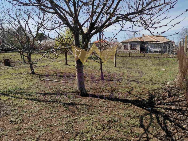 For Sale  Plot region Dobrich , Gurkovo , 1113 sq.m | 90279390 - image [6]