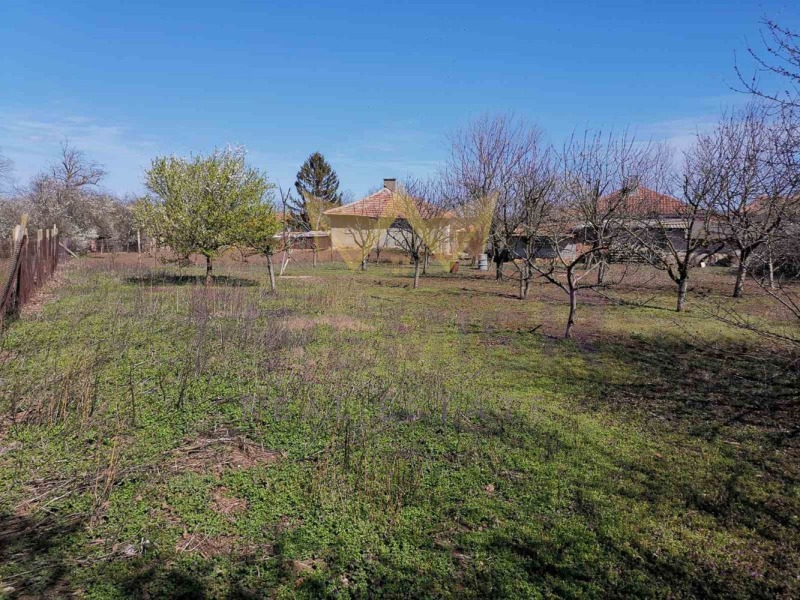 For Sale  Plot region Dobrich , Gurkovo , 1113 sq.m | 90279390 - image [4]