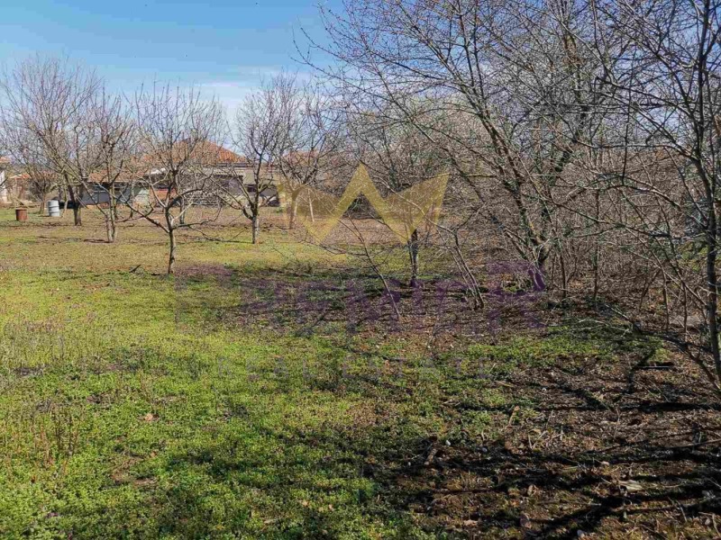 For Sale  Plot region Dobrich , Gurkovo , 1113 sq.m | 90279390 - image [3]