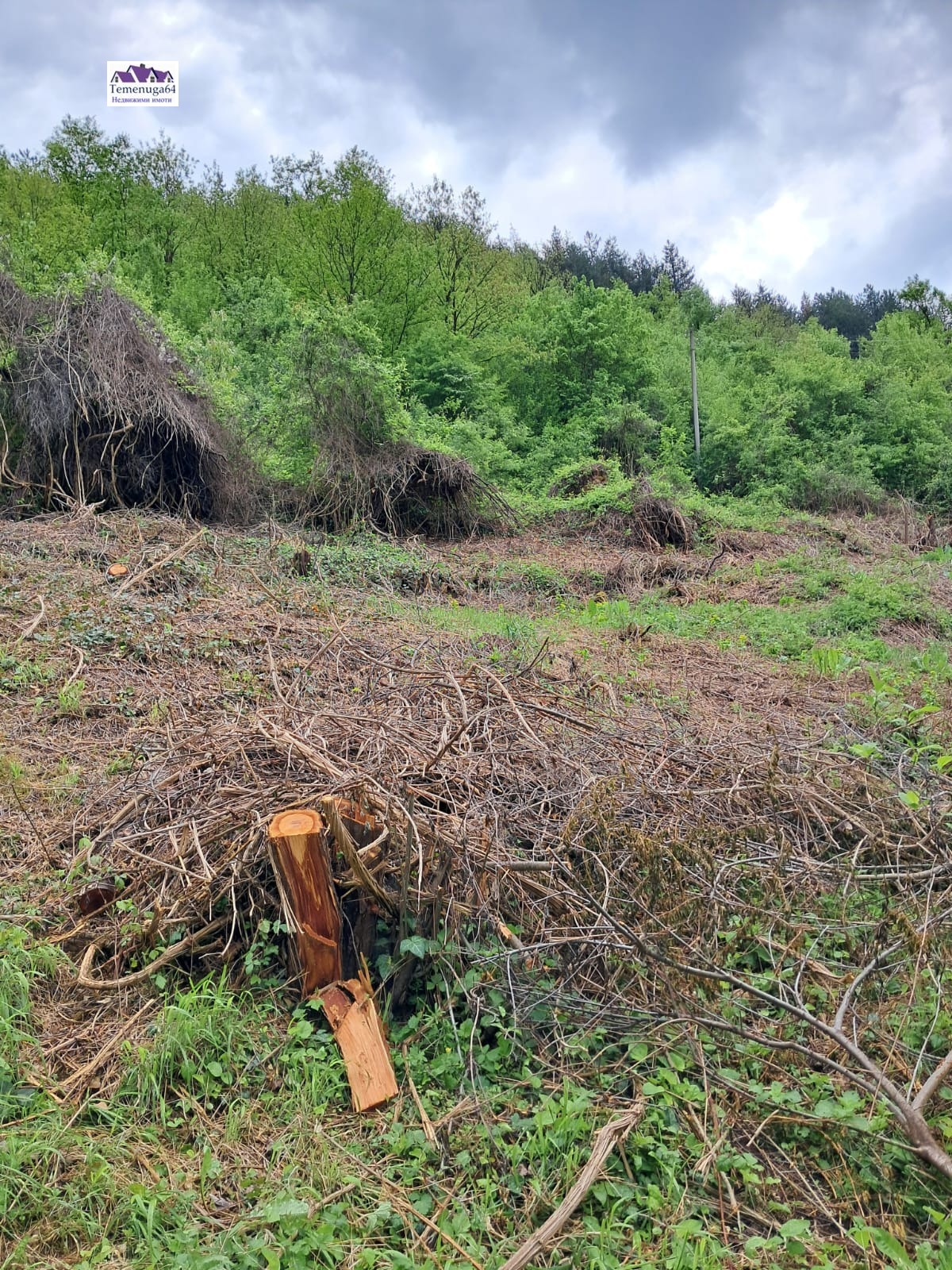 Продава ПАРЦЕЛ, с. Церово, област София област, снимка 2 - Парцели - 54083404