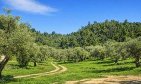 ������� ������ | Imot.bg � ����� ������ 14