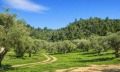 Продава ПАРЦЕЛ, Извън страната, област Извън страната, снимка 14