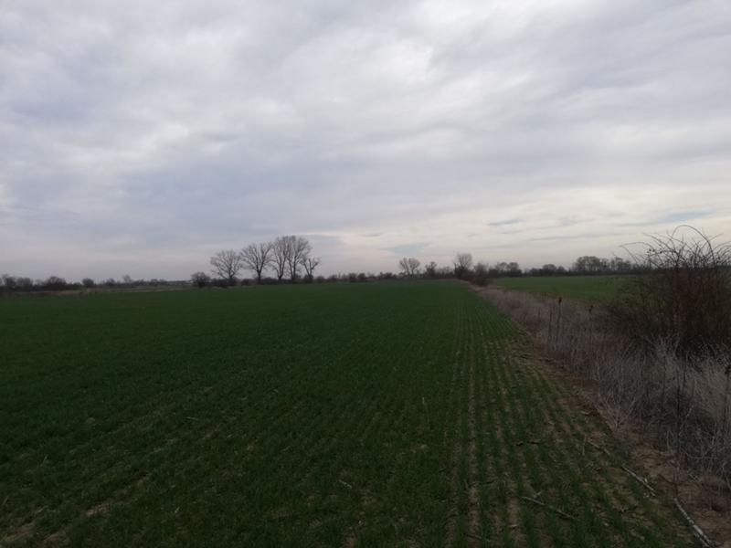 ������� ������ | Imot.bg � ����������� 4