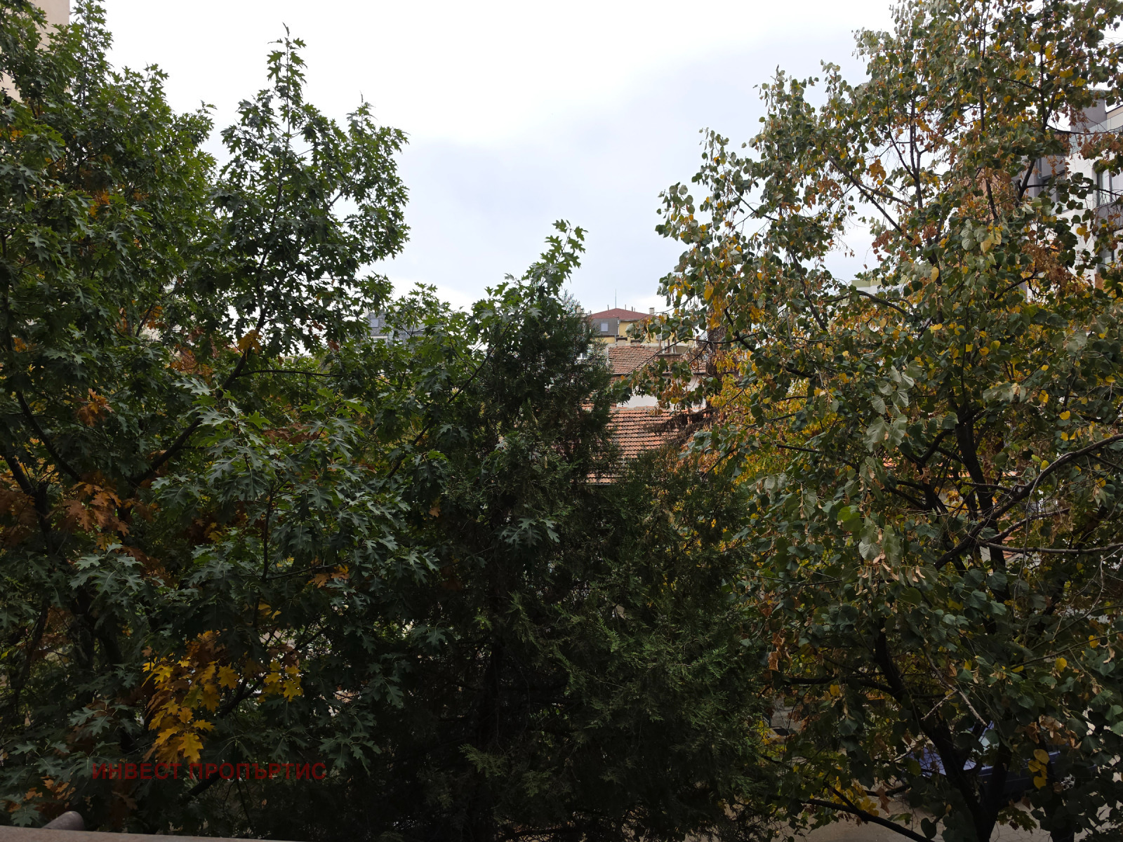 ������� 3-����� | Imot.bg � ����������� 12
