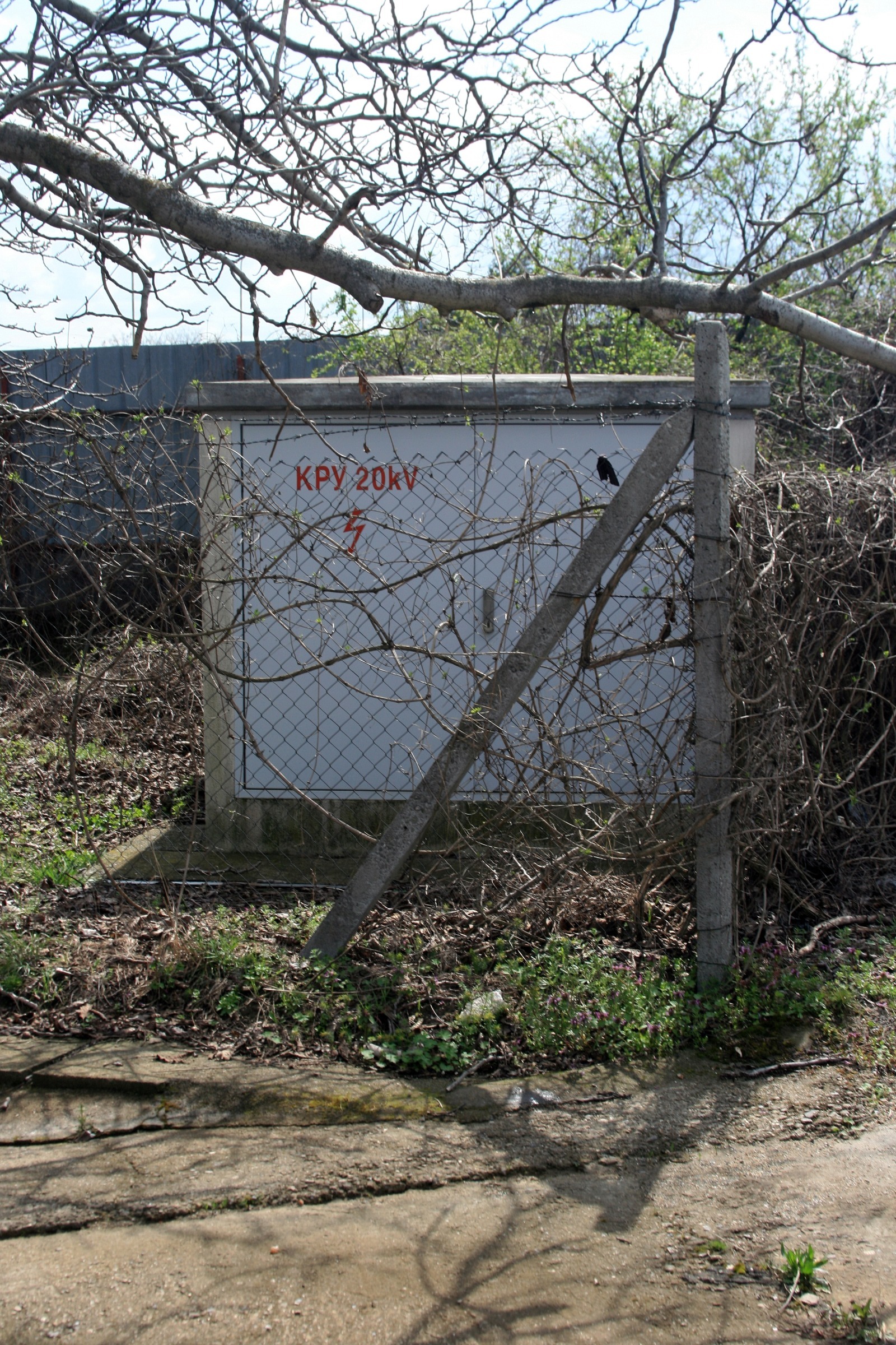 ������� ������ | Imot.bg � ����������� 8