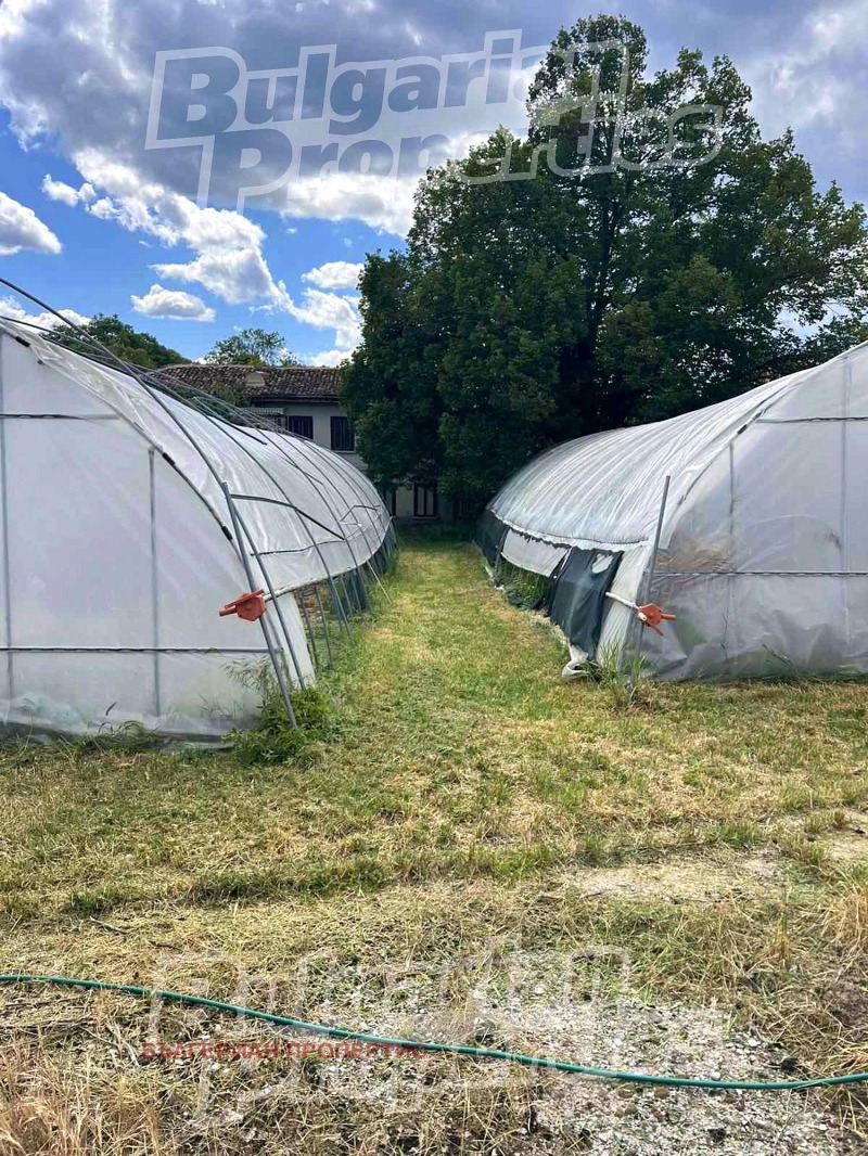 Продава БИЗНЕС ИМОТ, с. Янково, област Шумен, снимка 13 - Други - 52146684