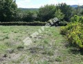 Продава ПАРЦЕЛ, област Велико Търново, гр. Килифарево • 16200 € • 23473784 — Holmes.bg