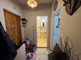 ����� ������� 2-�����,���� �����, �������