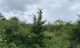������� ������ | Imot.bg � ����� ������ 2