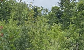 ������� ������ | Imot.bg � ����� ������ 4