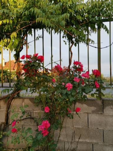 Продава КЪЩА, с. Крушевец, област Бургас, снимка 16 - Къщи - 52785458