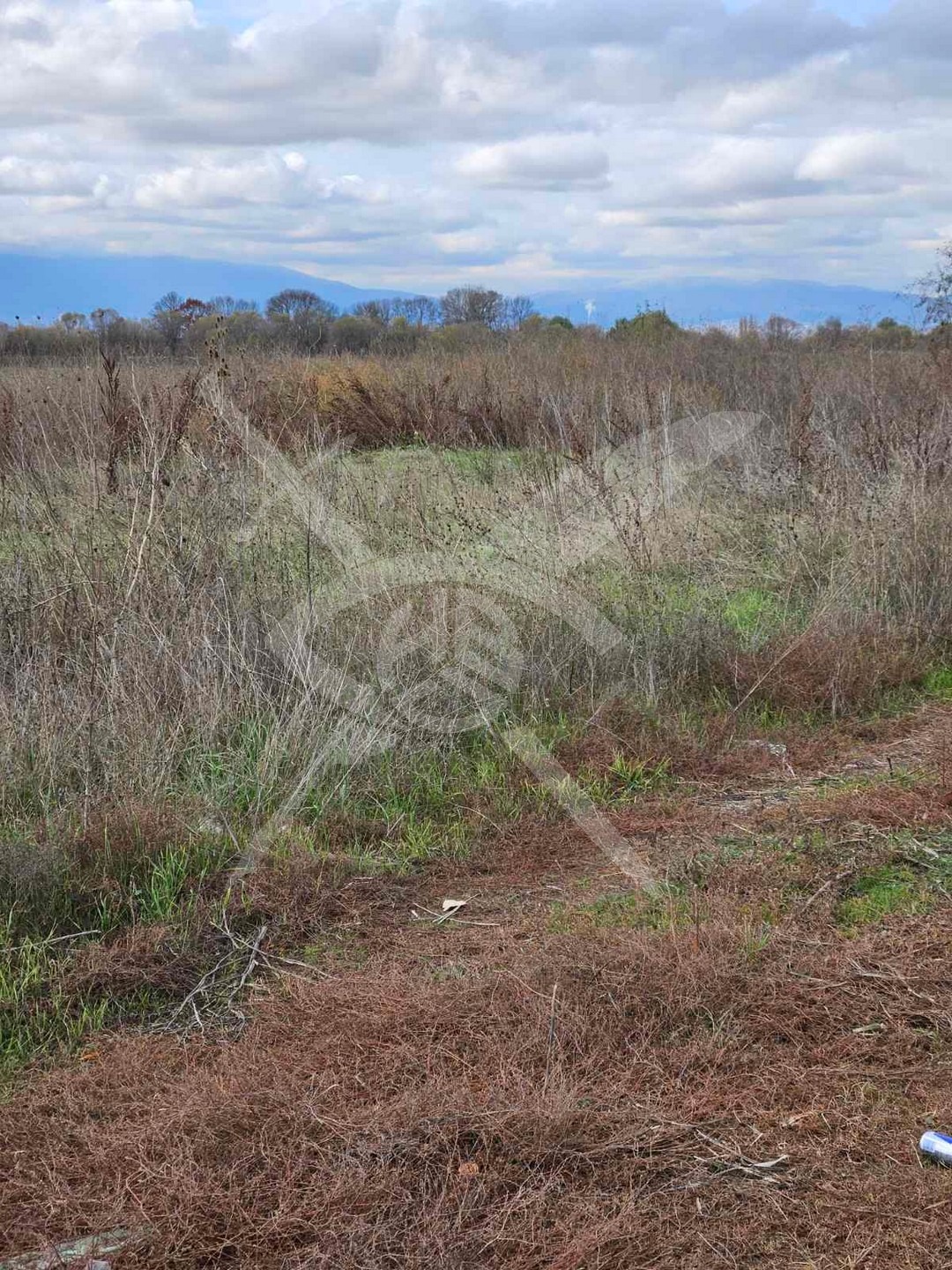 Продава ПАРЦЕЛ, гр. София, с. Чепинци, снимка 2 - Парцели - 48252943
