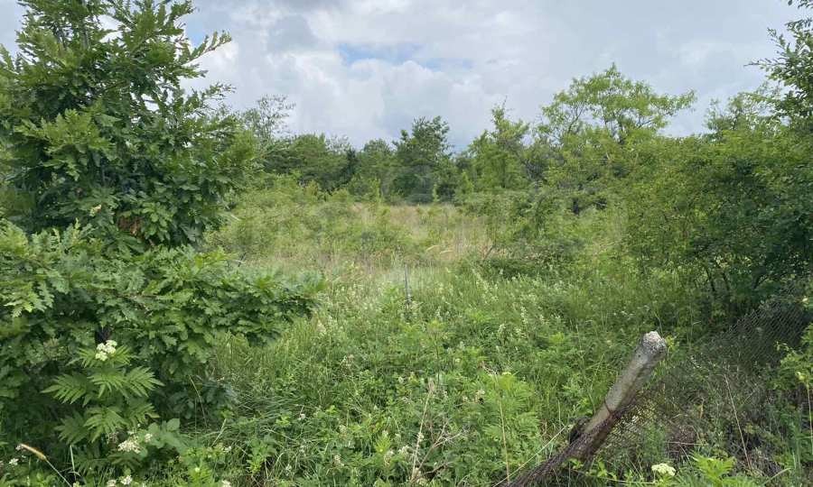 Продава ПАРЦЕЛ, с. Милчина лъка, област Видин