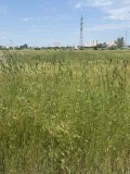 Продава ПАРЦЕЛ, гр. Пловдив, Цариградско шосе, снимка 2
