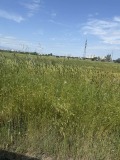 Продава ПАРЦЕЛ, гр. Пловдив, Цариградско шосе, снимка 1