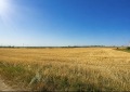 Продава  Парцел област Добрич , с. Българево , 17000 кв.м | 75482400 - изображение [2]