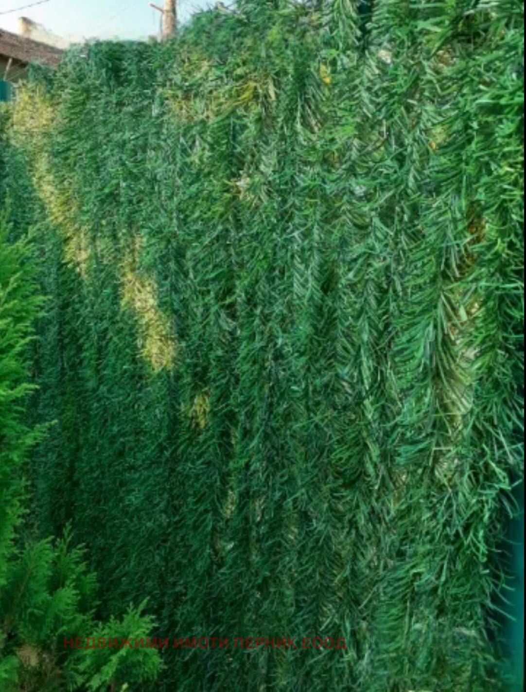 Продава 3-СТАЕН | Imot.bg — изображение 3