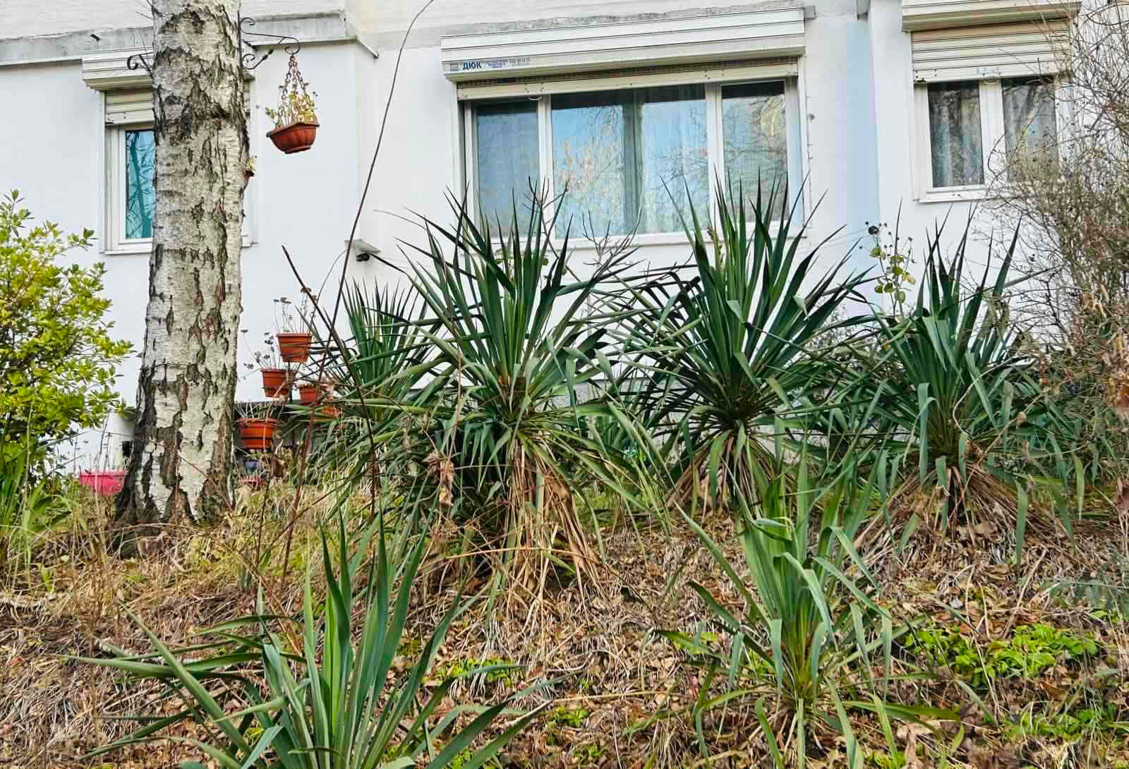 Продава 3-СТАЕН | Imot.bg — изображение 1