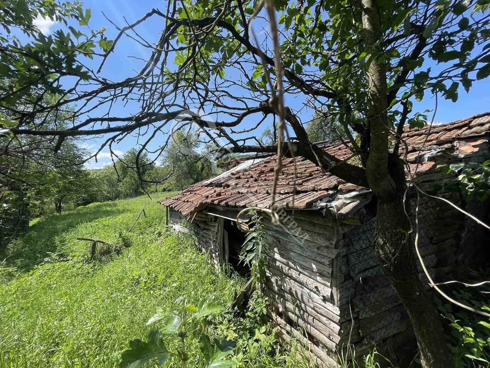 ������� ���� | Imot.bg � ����������� 12