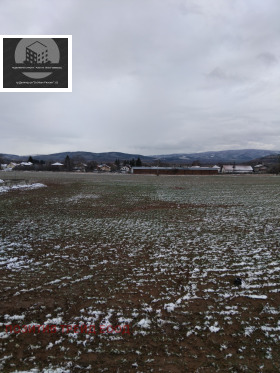 ������ ������� ������